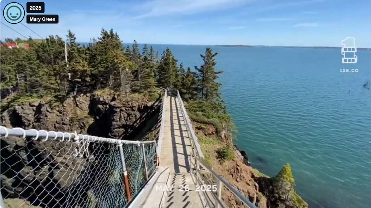 I Won't Fuck Us Over